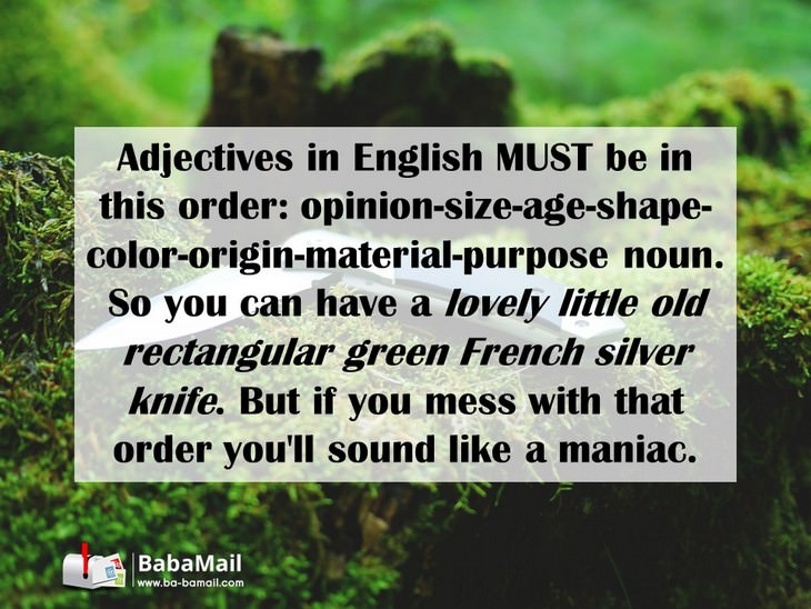 language, funny, English, grammar, spelling