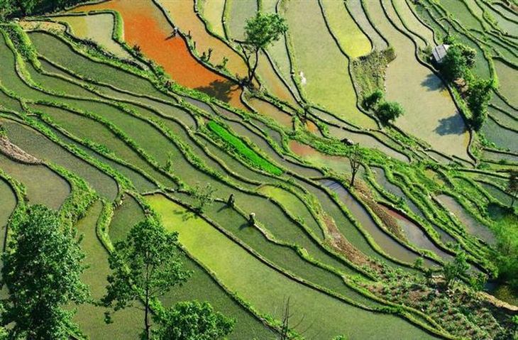 red-china-dongchuan