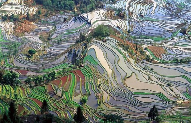 red-china-dongchuan