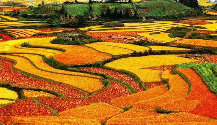 red-china-dongchuan