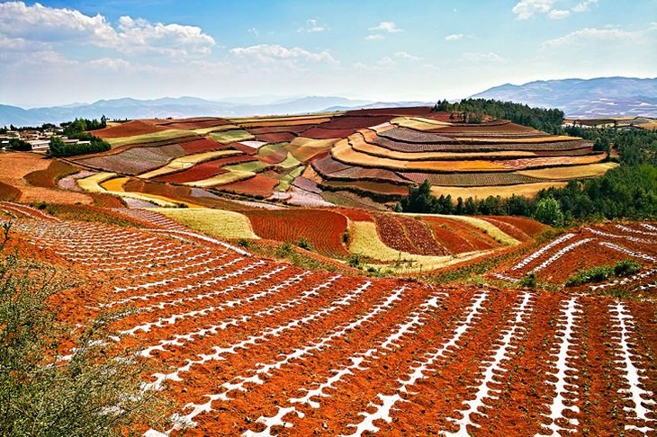 red-china-dongchuan