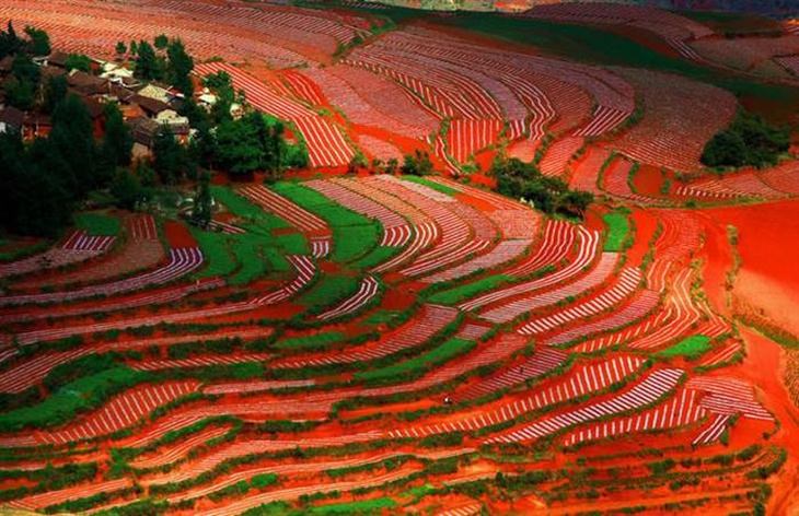 red-china-dongchuan