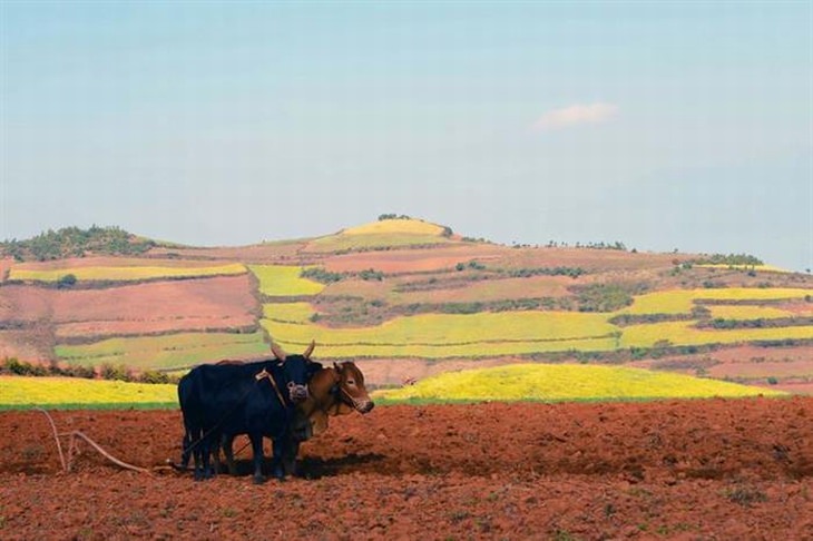 red-china-dongchuan