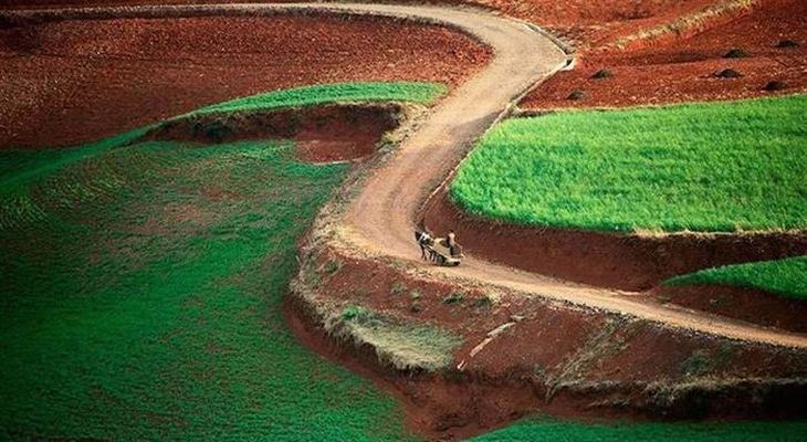 red-china-dongchuan