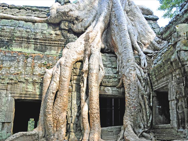 angkor-temples