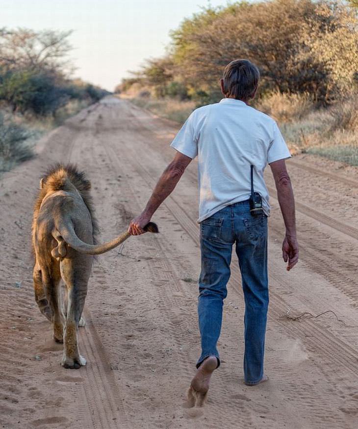 man and pet lion