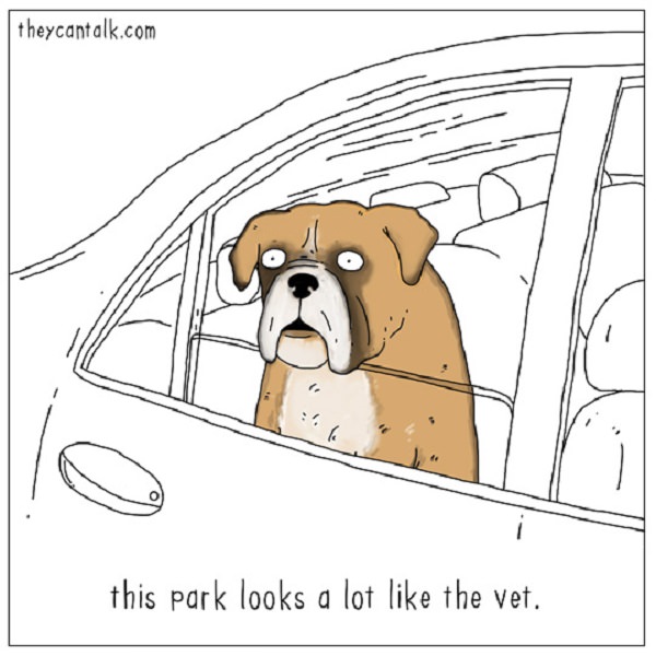 Funny - Animal - Cartoons