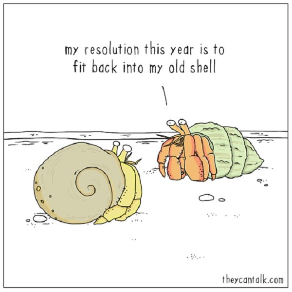 Funny - Animal - Cartoons