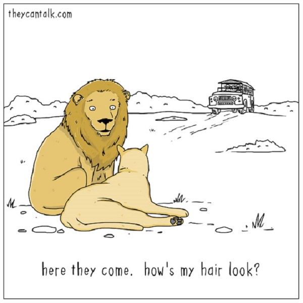 Funny - Animal - Cartoons