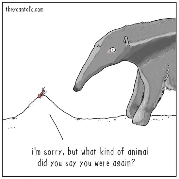 Funny - Animal - Cartoons