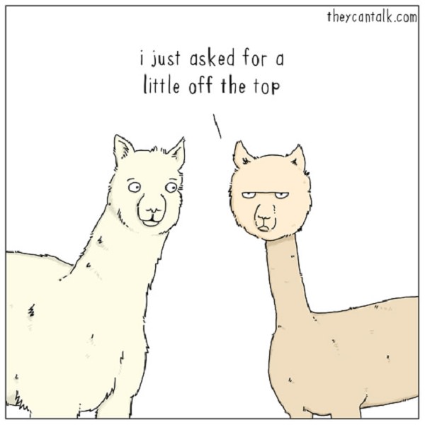 Funny - Animal - Cartoons