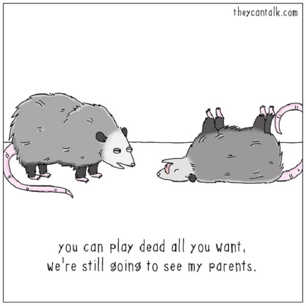 Funny - Animal - Cartoons