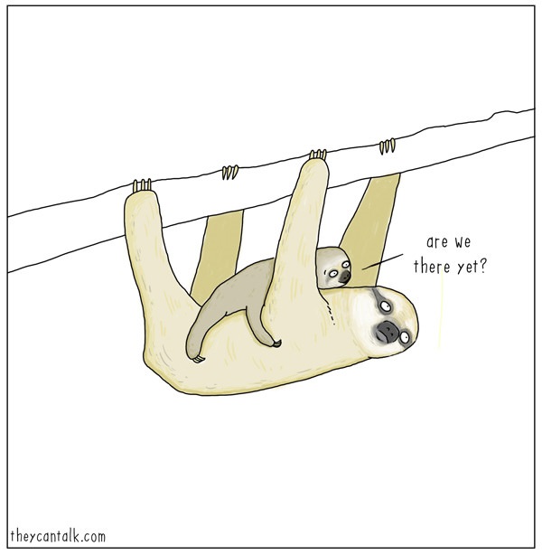 Funny - Animal - Cartoons