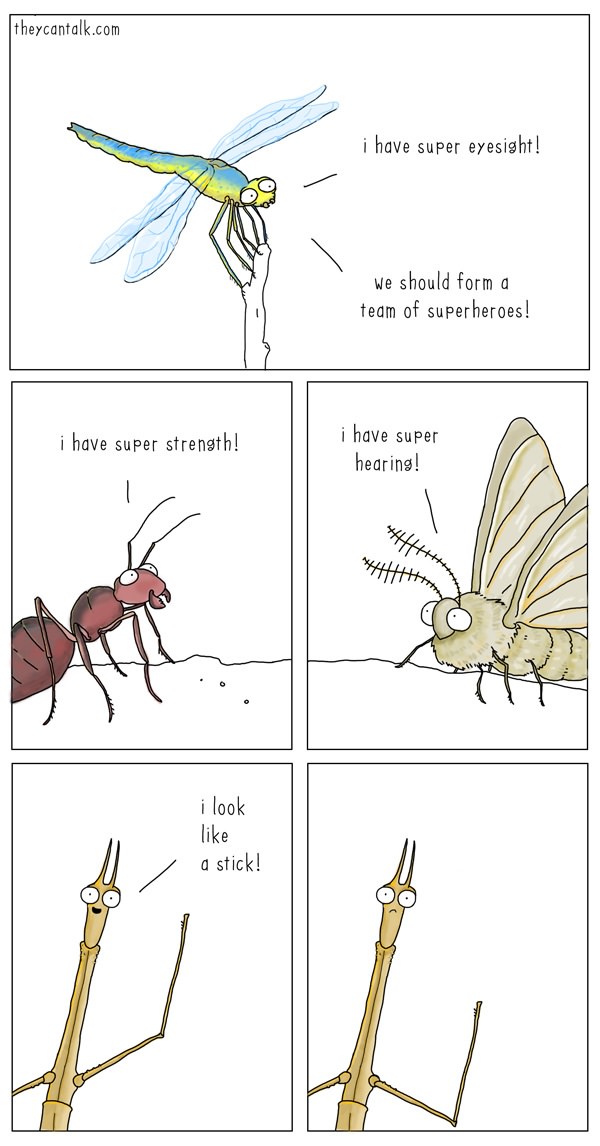 Funny - Animal - Cartoons