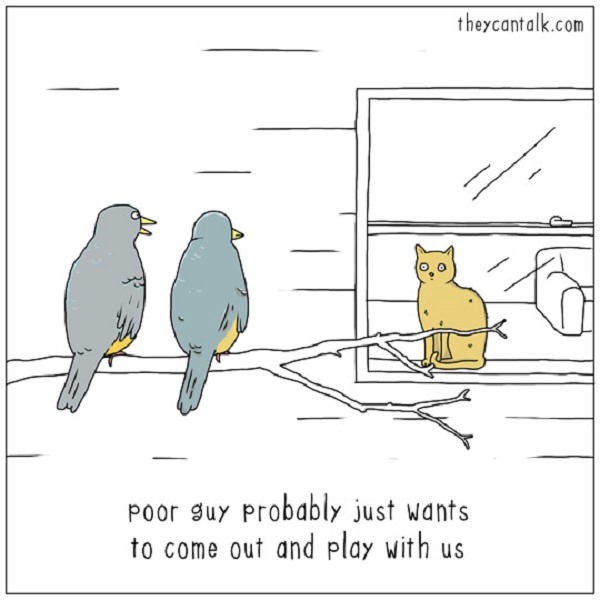 Funny - Animal - Cartoons