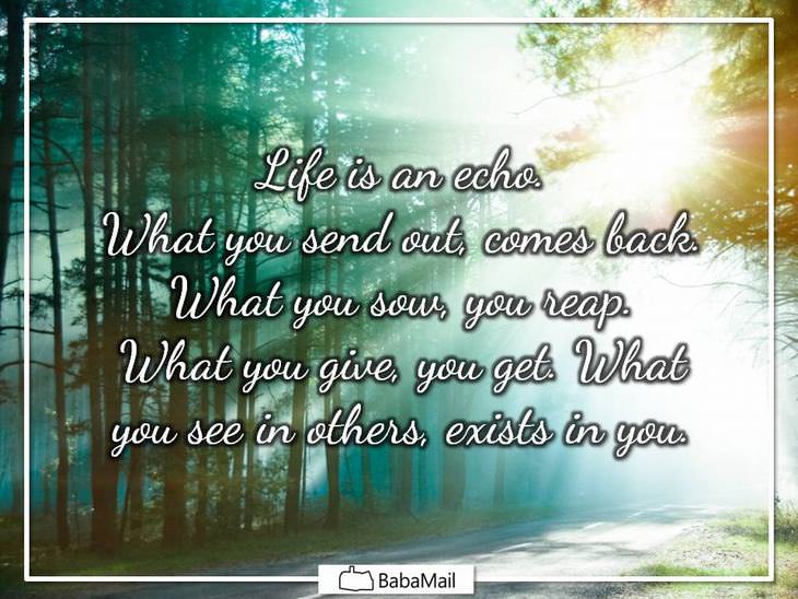 Life is an echo. What you send out comes back. What you sow, you reap. What you give, you get. What you see in others, exists in you.