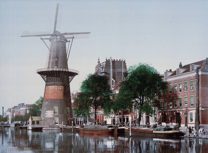 Holland Vintage Photos