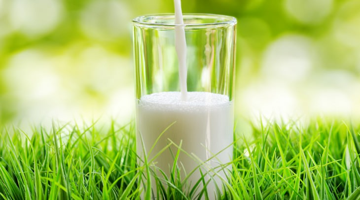 goat's milk, health benefits, guide