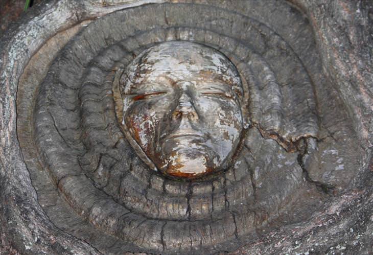 9 Amazing Tree Carvings From Around the World