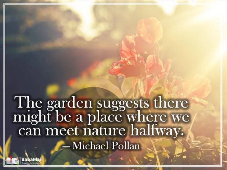 gardening Quotes