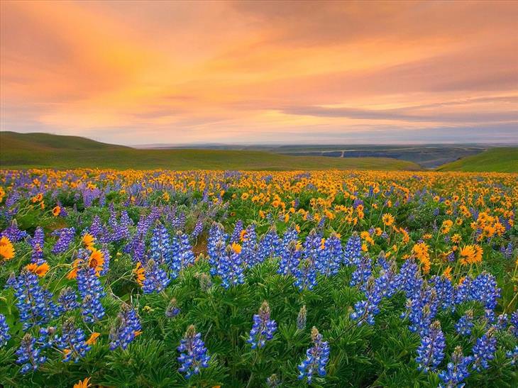 These Stunning Places Come to Life in the Spring