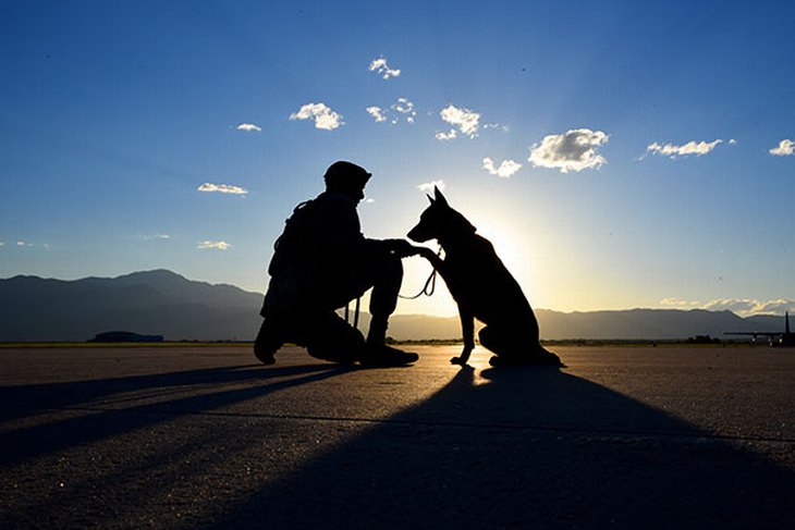 military-dogs-owners