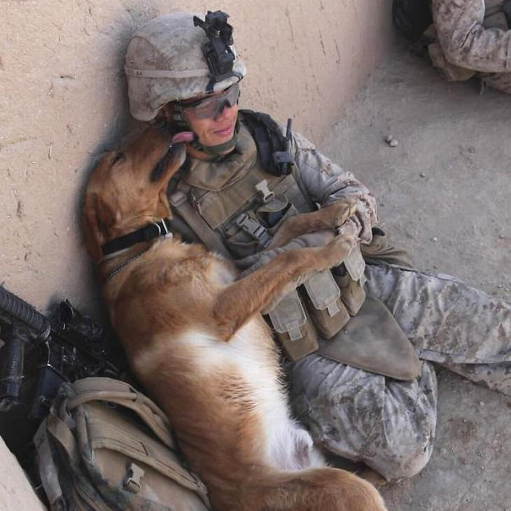 military-dogs-owners