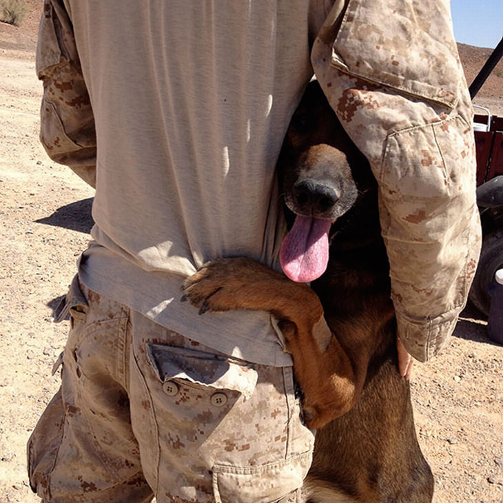 military-dogs-owners