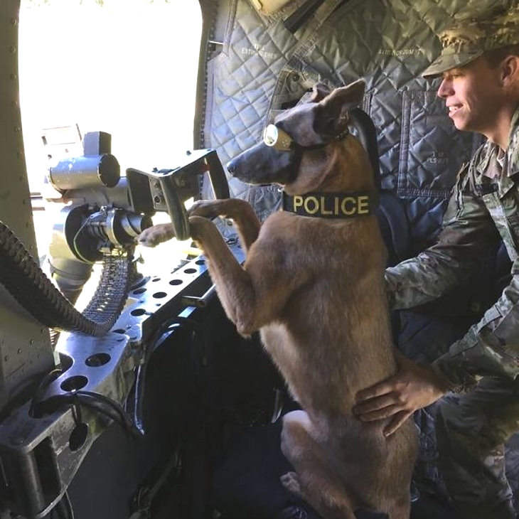 military-dogs-owners