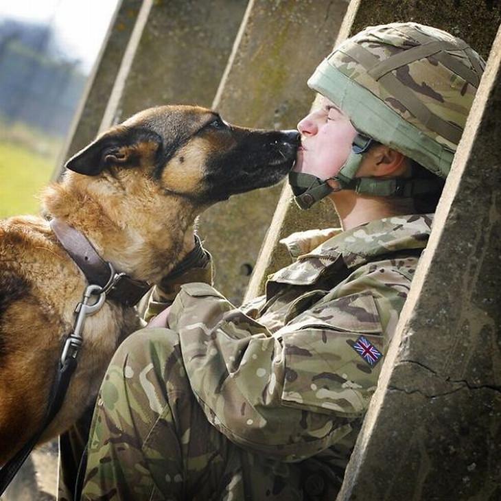 military-dogs-owners