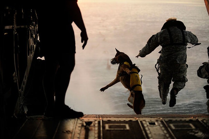 military-dogs-owners