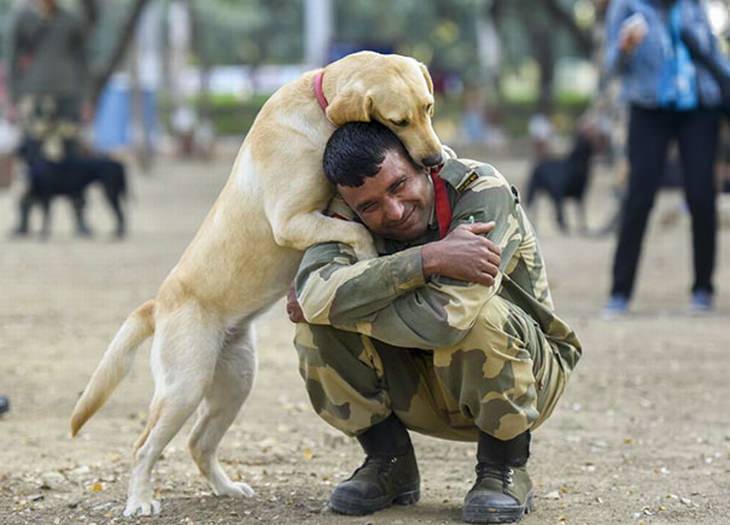 military-dogs-owners