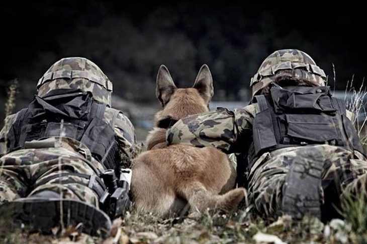 military-dogs-owners