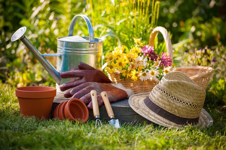 The 11 Most Common Gardening Mistakes