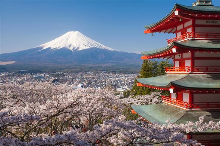 photo of the day, sakura, mount fuji, pagoda