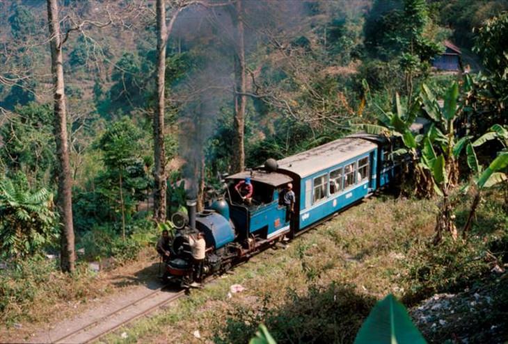 darjeeling-train