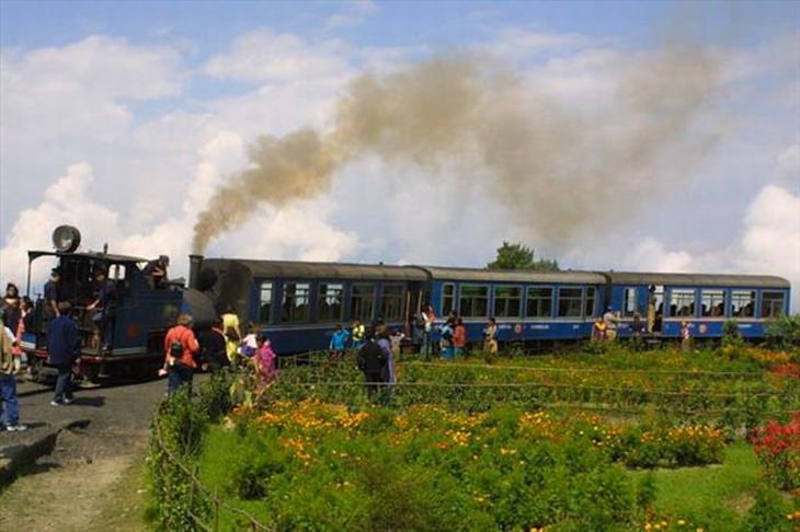 darjeeling-train