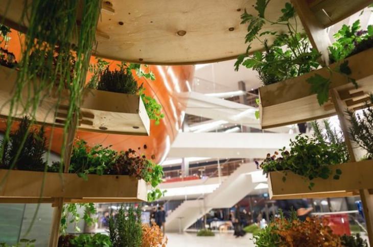 sustainable-vertical-garden