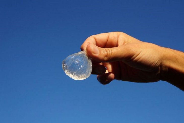 Ooho: The Edible Water Bottle