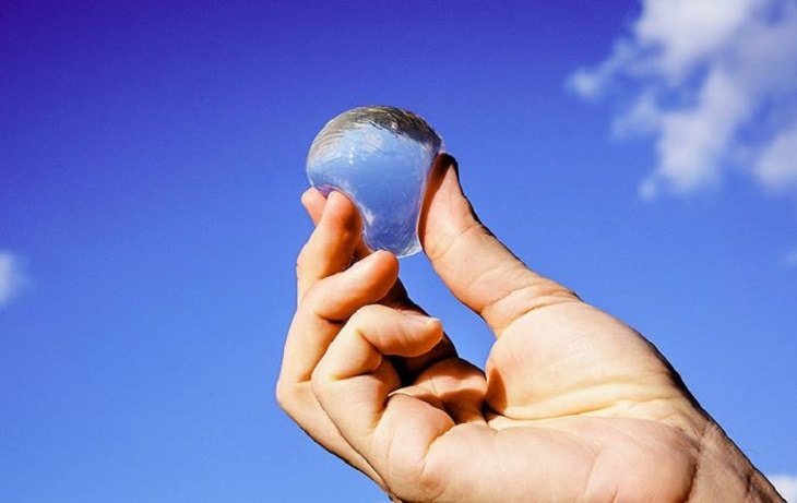 Ooho: The Edible Water Bottle