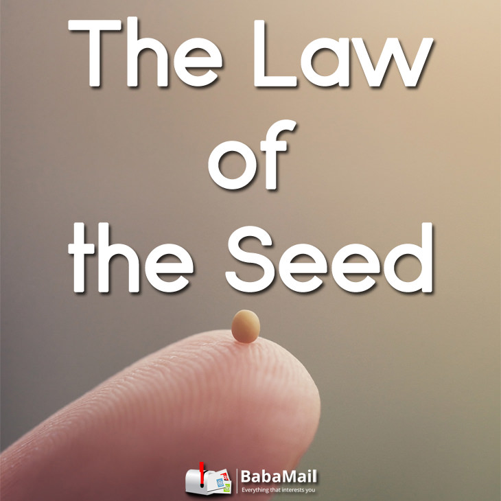 law-of-the-seed