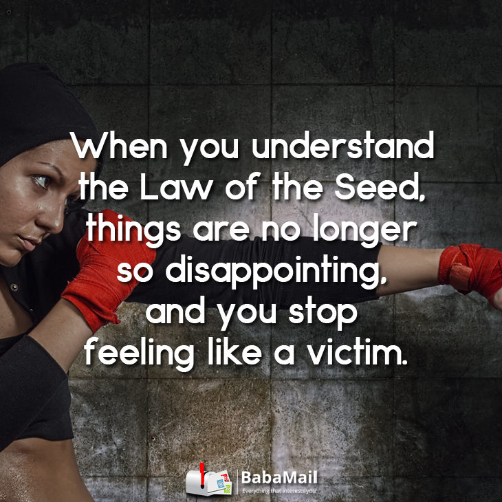 law-of-the-seed