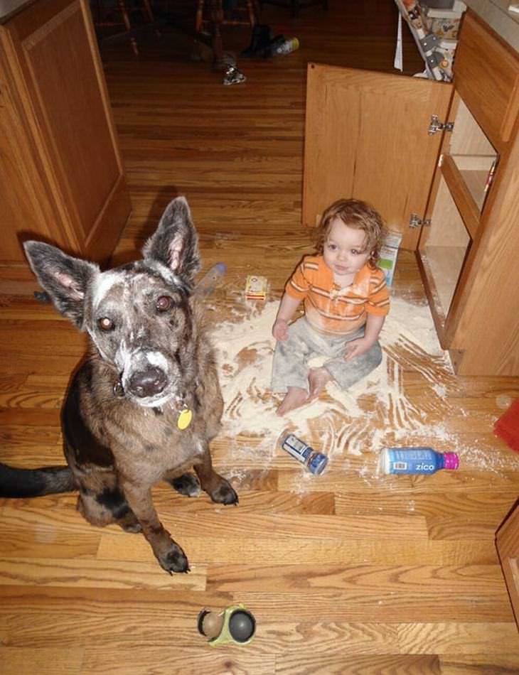 kids alone with pets