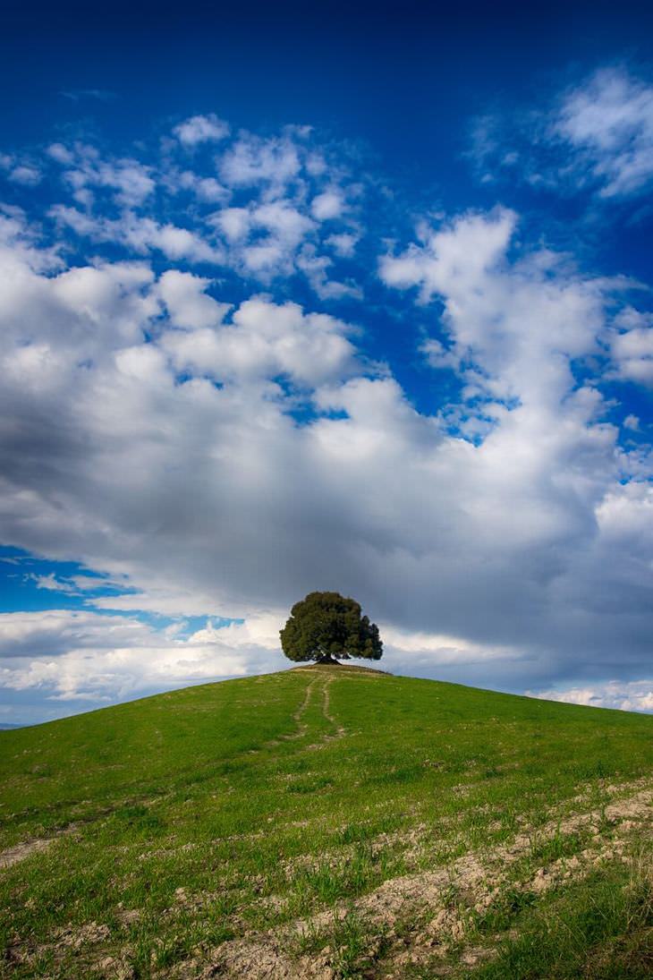 Tuscany