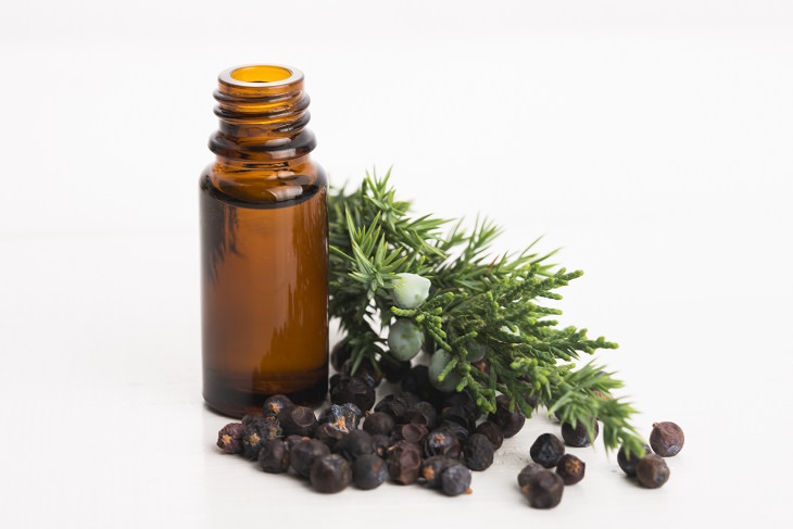 12 Natural Essential Oils That Act as Pain Relievers