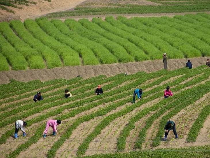 This Is Everyday Life in North Korea