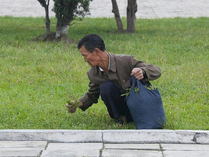 This Is Everyday Life in North Korea