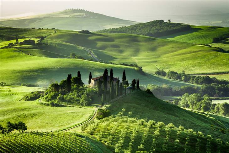phot of the day, Tuscany, field, April