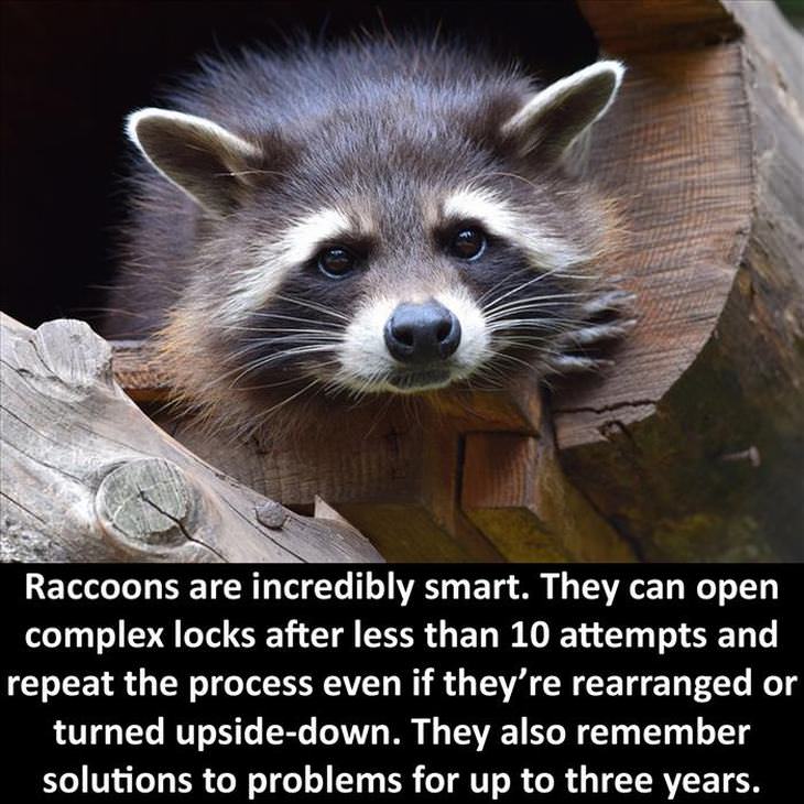 nature facts