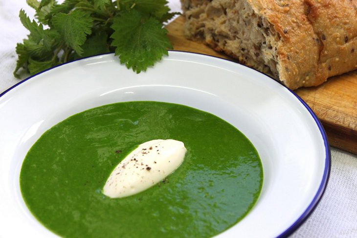 Recipe: Nettle Soup